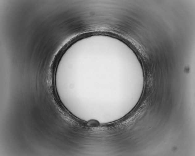 X0000103441118200810031407