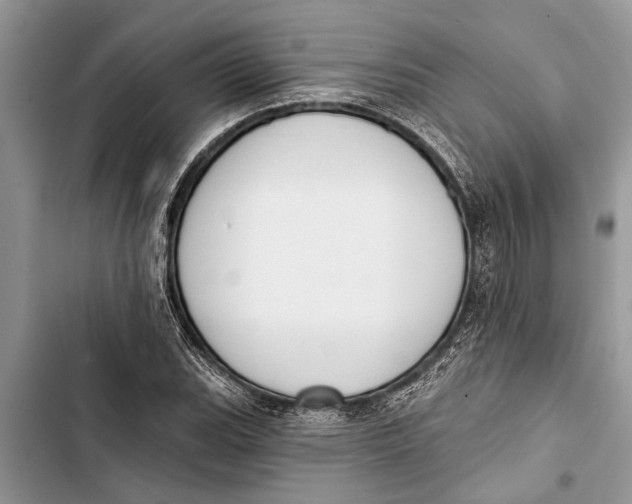 X0000103441119200810031407