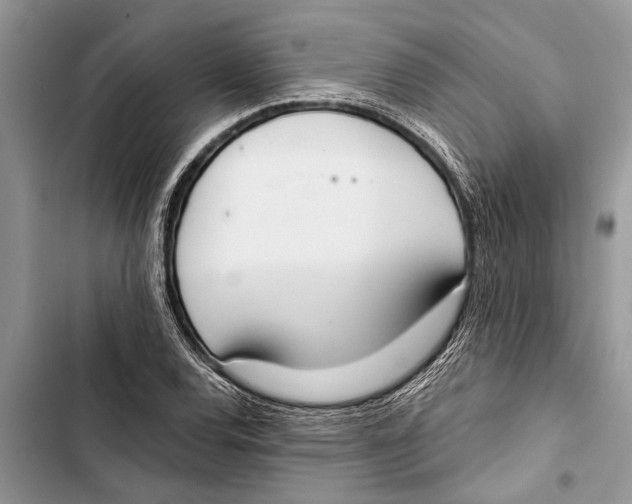 X0000103441120200810031407