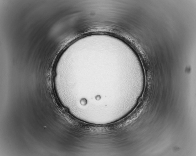 X0000103441121200810031407