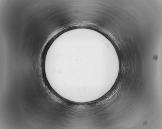 X0000103441122200810031407
