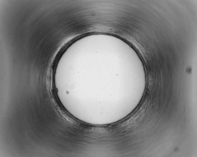 X0000103441123200810031407