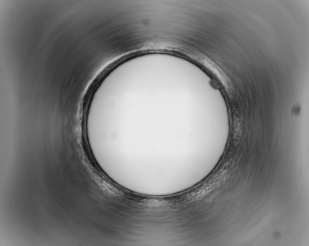 X0000103441124200810031407