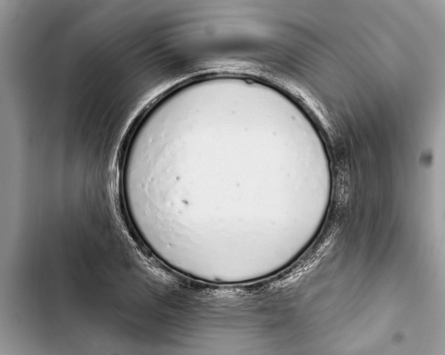 X0000103441125200810031407