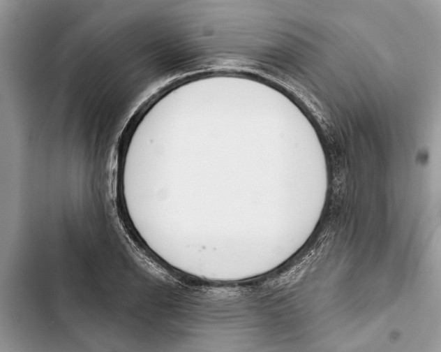 X0000103441126200810031407