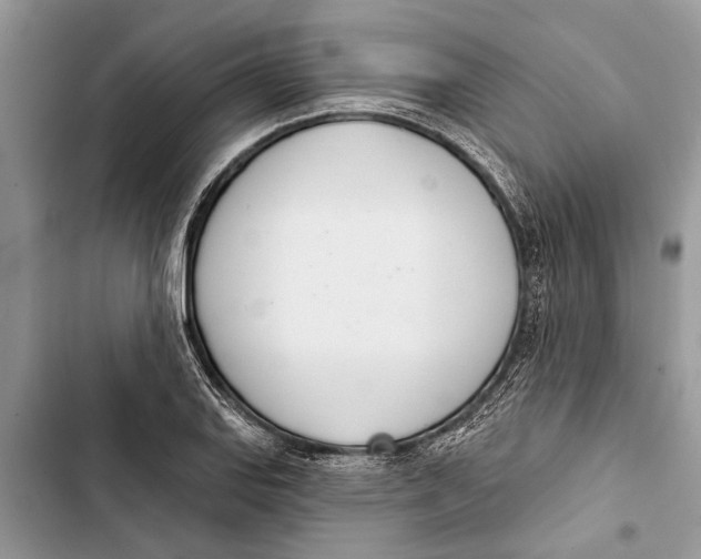 X0000103441127200810031407