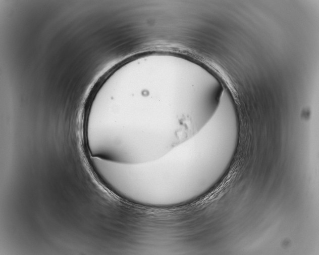 X0000103441128200810031407