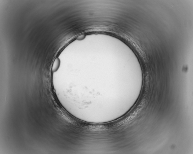 X0000103441129200810031407