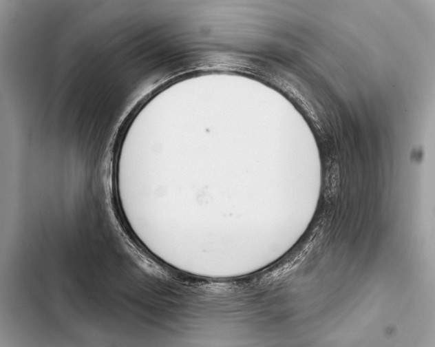 X0000103441130200810031407