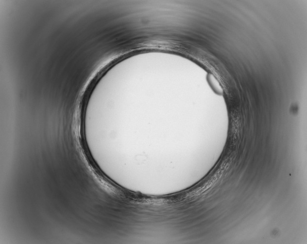 X0000103441131200810031407