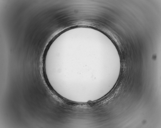 X0000103441133200810031407