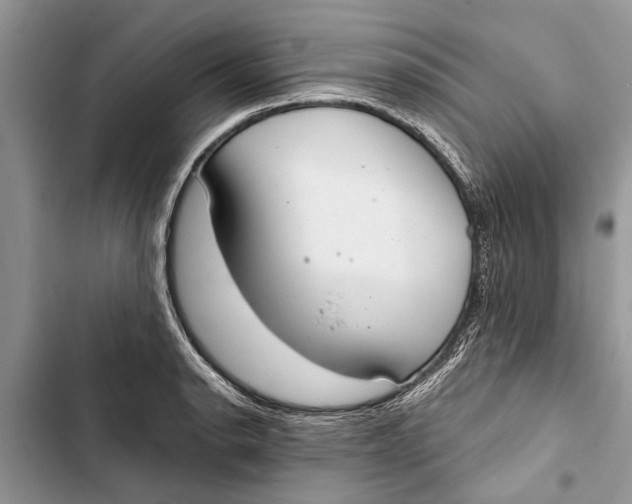 X0000103441134200810031407