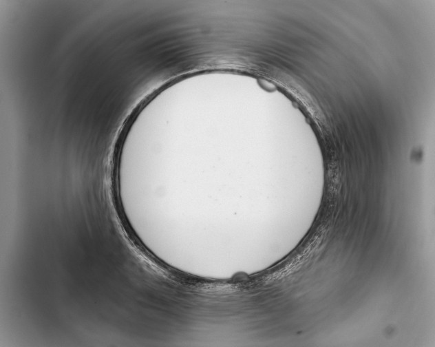 X0000103441135200810031407