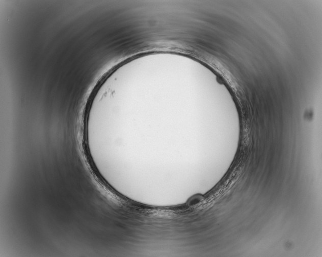X0000103441136200810031407
