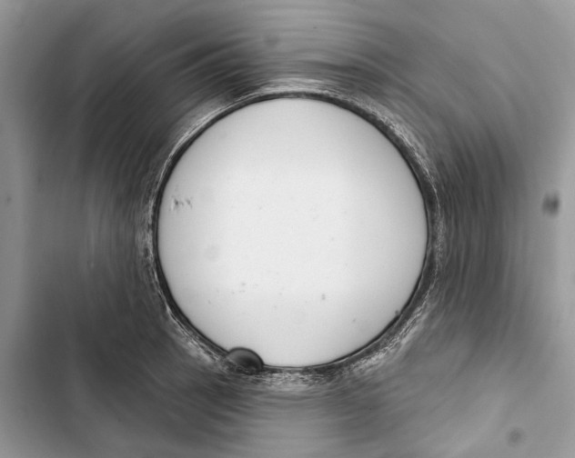 X0000103441137200810031407