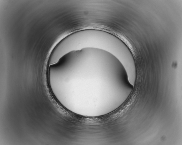 X0000103441138200810031407