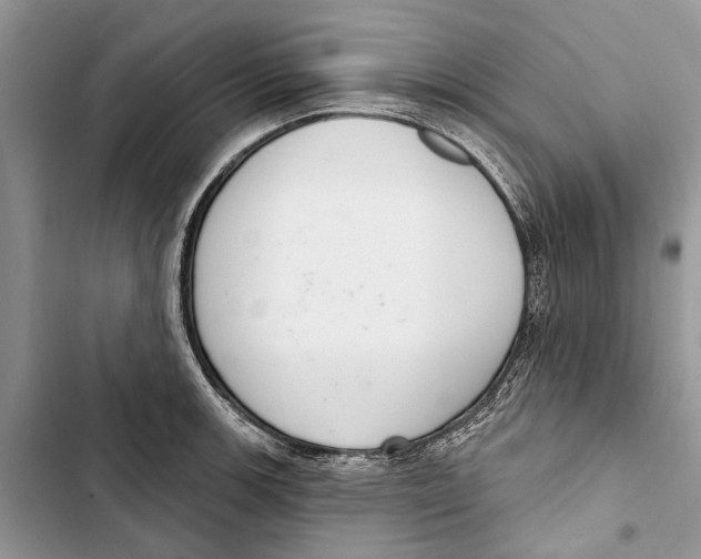 X0000103441139200810031407