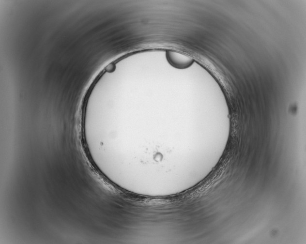 X0000103441140200810031407