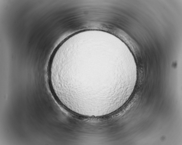 X0000103441141200810031407
