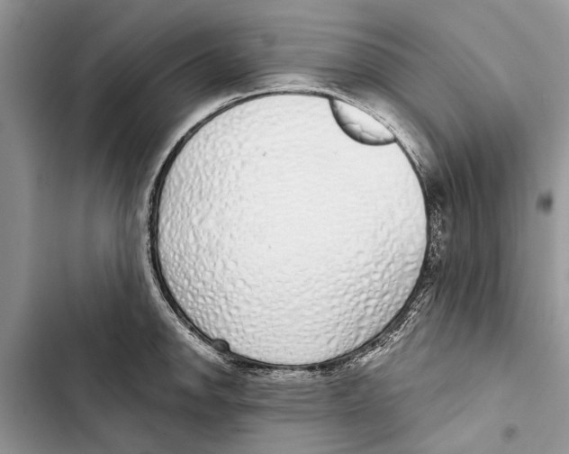 X0000103441142200810031407