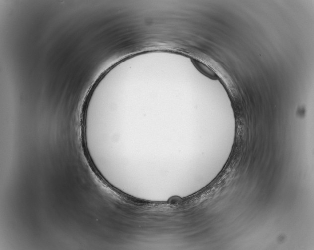X0000103441143200810031407