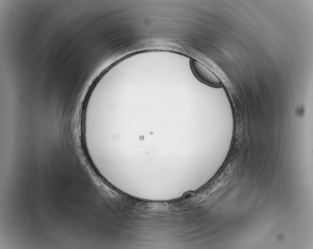 X0000103441144200810031407