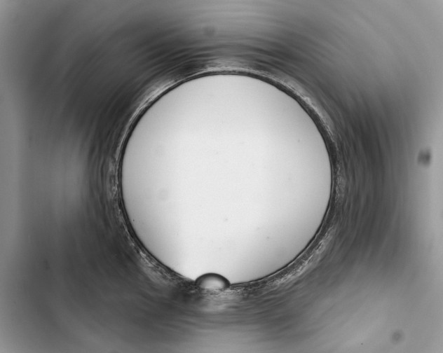 X0000103441145200810031407