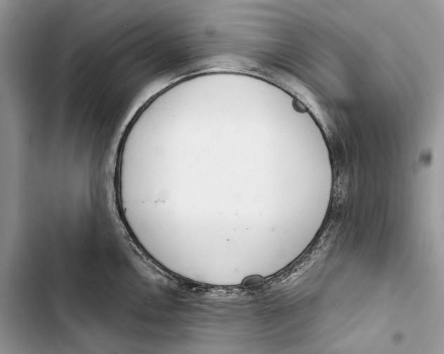 X0000103441146200810031407