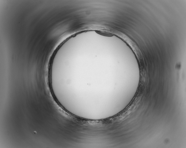 X0000103441147200810031407