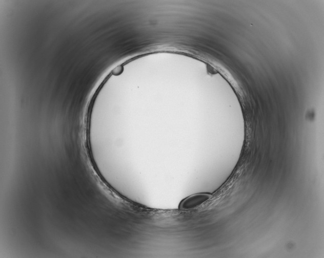 X0000103441148200810031407