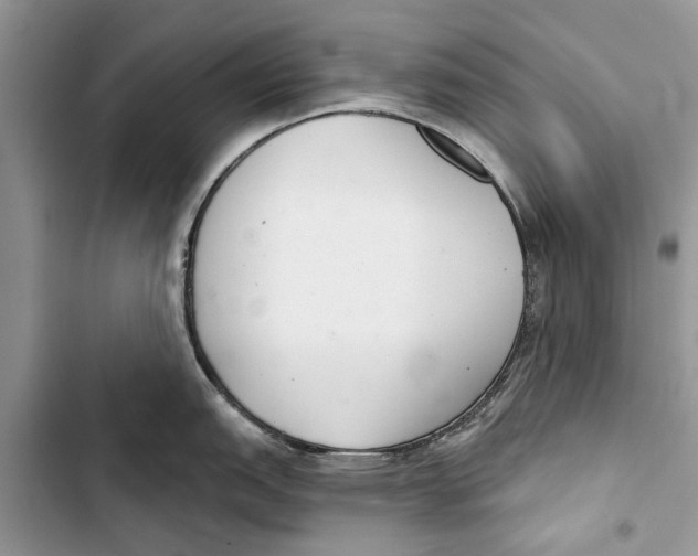 X0000103441151200810031407