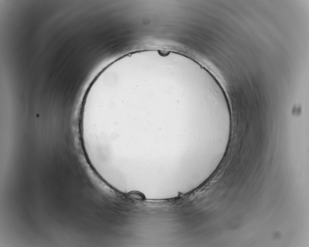 X0000103441152200810031407