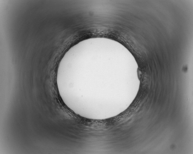 X0000103441153200810031407
