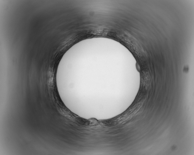 X0000103441154200810031407