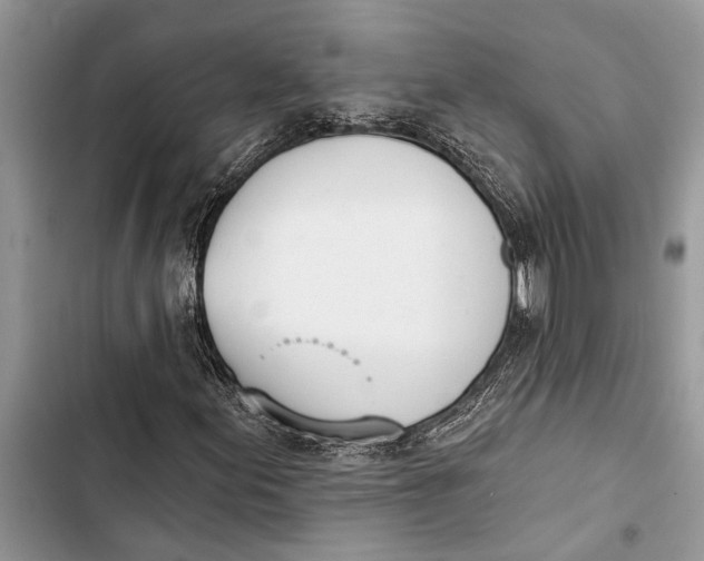 X0000103441155200810031407