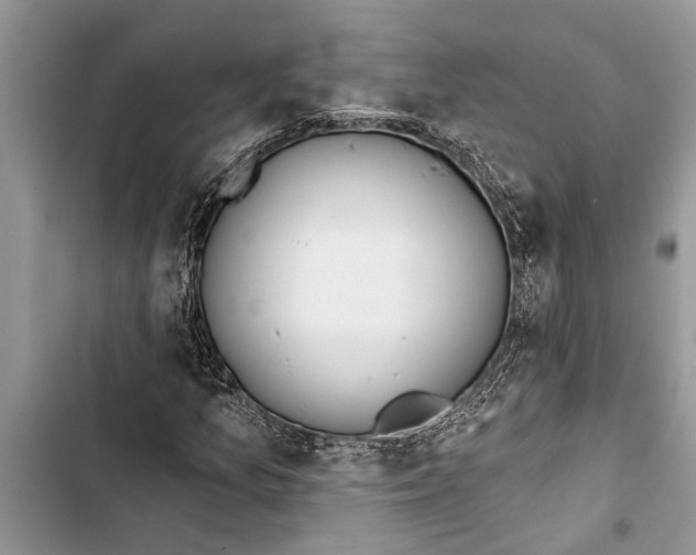 X0000103441157200810031407