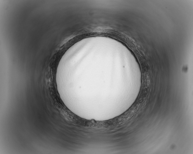 X0000103441158200810031407