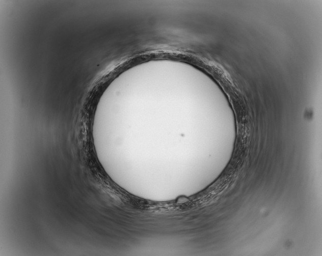 X0000103441159200810031407