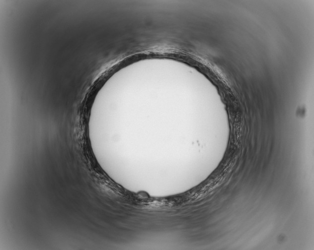X0000103441160200810031407