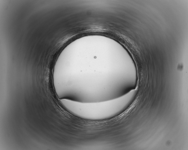 X0000103441161200810031407