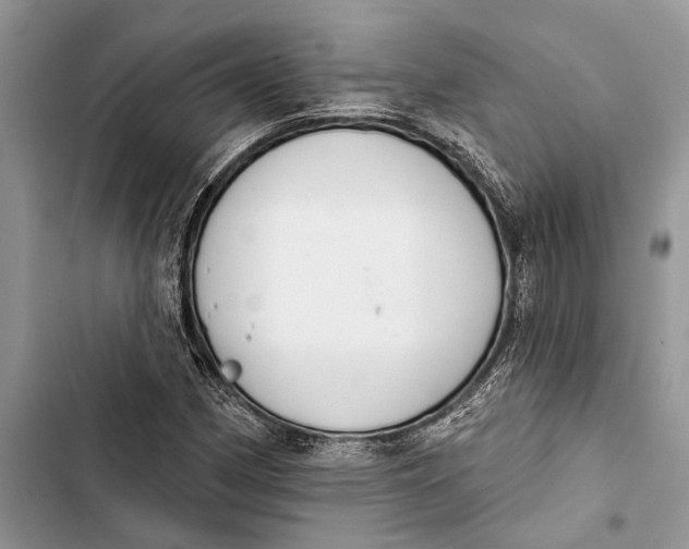 X0000103441162200810031407