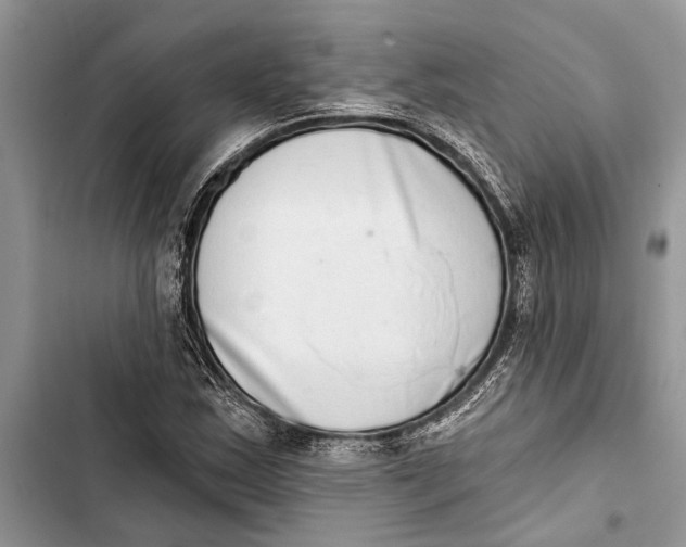 X0000103441163200810031407