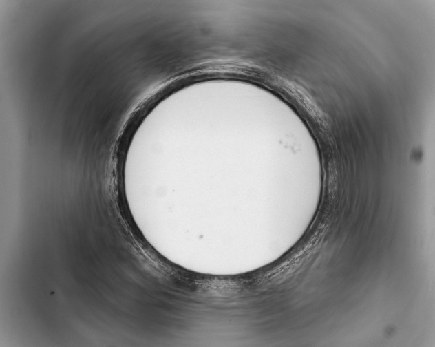 X0000103441164200810031407