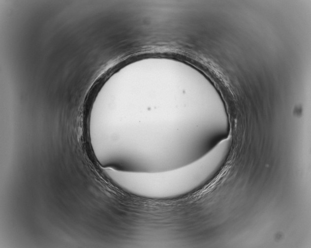 X0000103441165200810031407