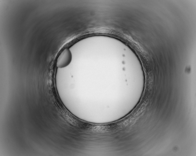 X0000103441166200810031407