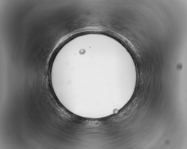 X0000103441168200810031406
