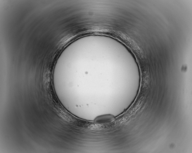 X0000103441169200810031406