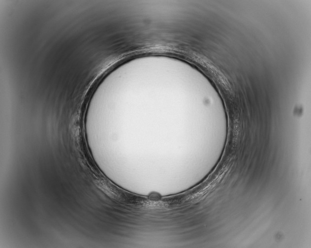 X0000103441170200810031406