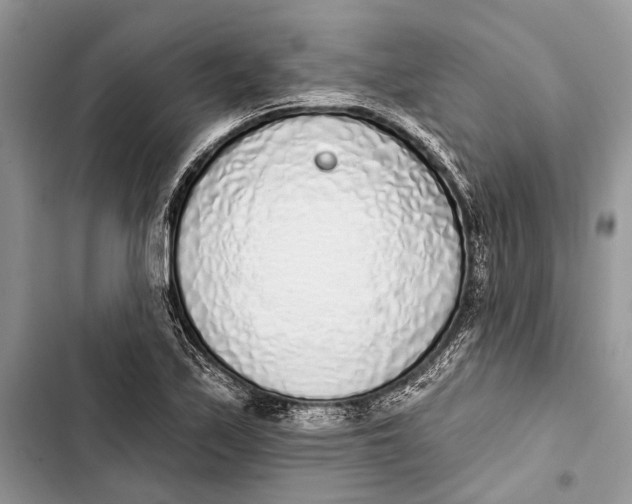 X0000103441171200810031406