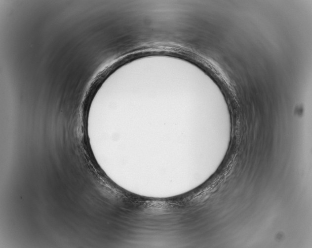 X0000103441172200810031406
